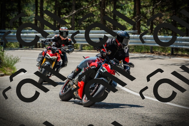 202507191200-DSC03935_c1_