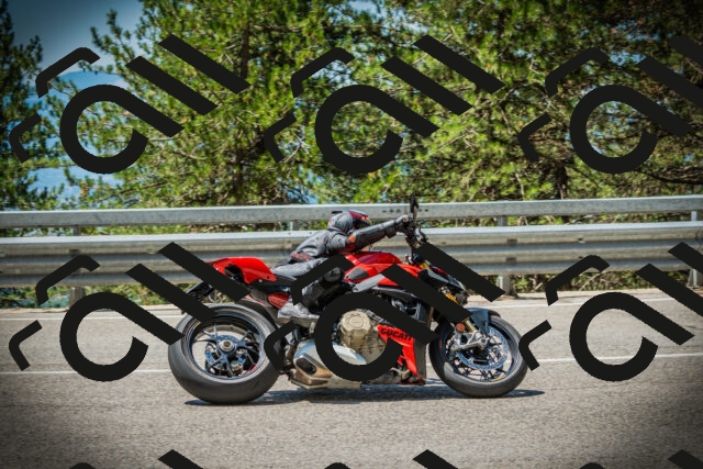 202507191200-DSC03937_c1_