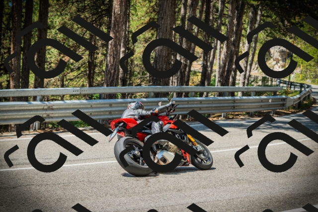 202507191200-DSC03938_c1_