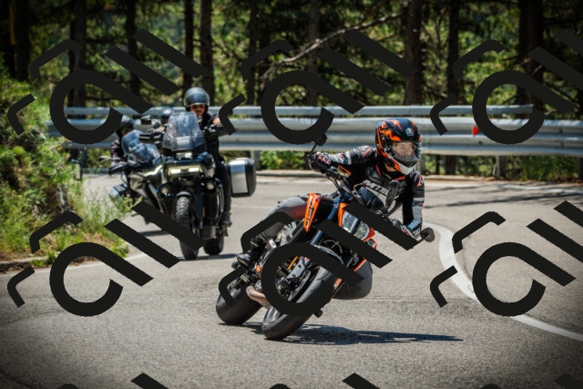 202507191200-DSC03940_c1_