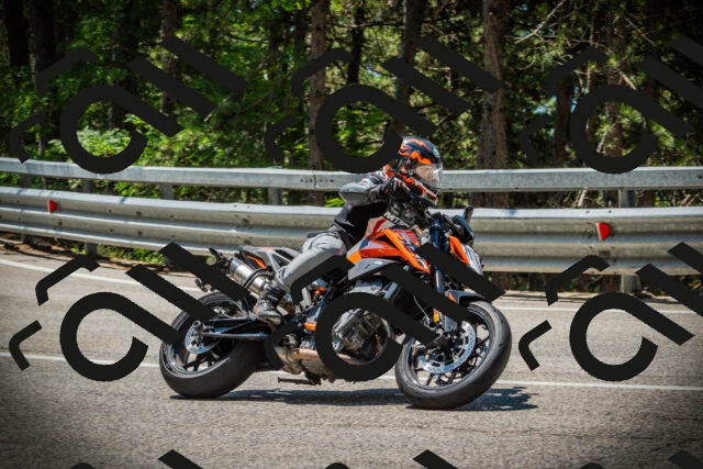 202507191200-DSC03941_c1_