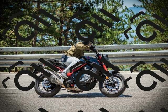 202507191201-DSC03945_c1_