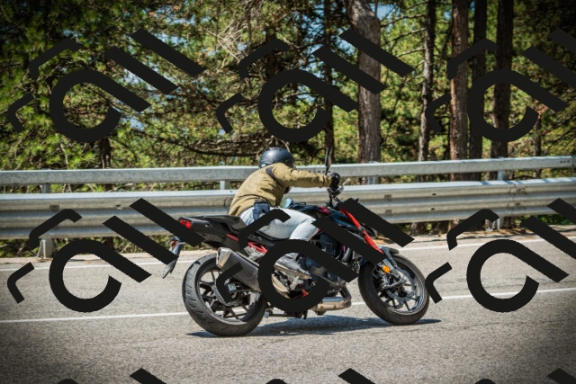 202507191201-DSC03946_c1_