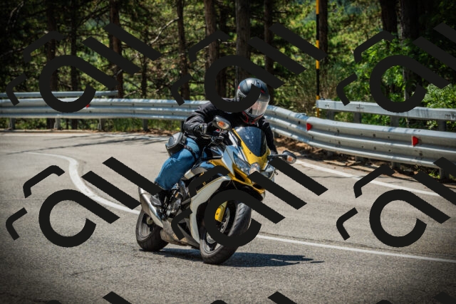 202507191201-DSC03948_c1_