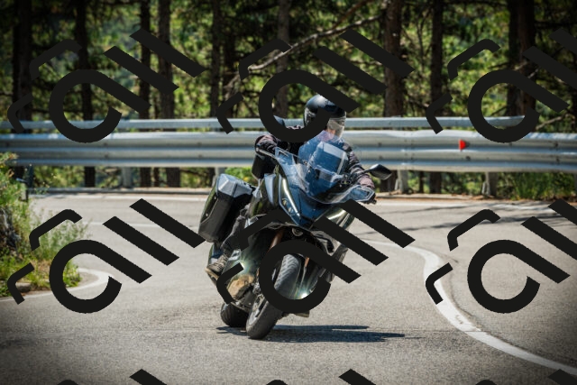 202507191201-DSC03951_c1_