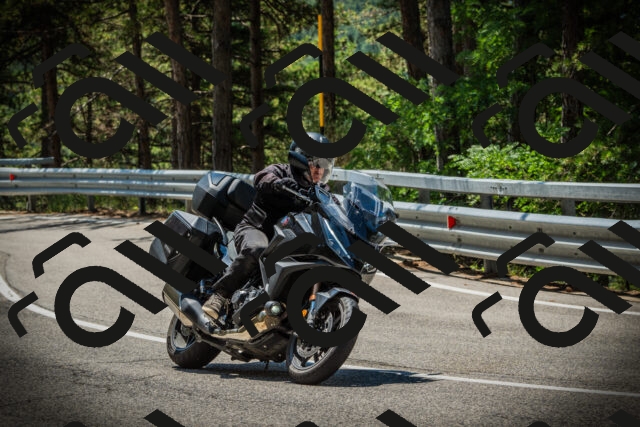 202507191201-DSC03952_c1_