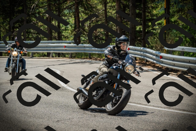 202507191201-DSC03955_c1_