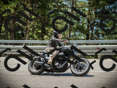 202507191201-DSC03956_c1_