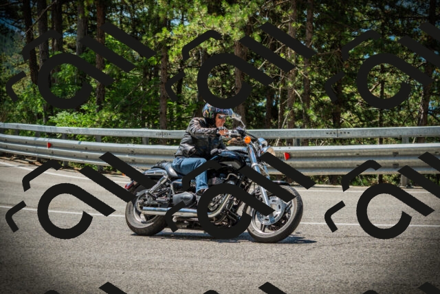 202507191201-DSC03957_c1_