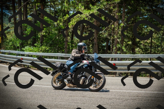 202507191201-DSC03959_c1_