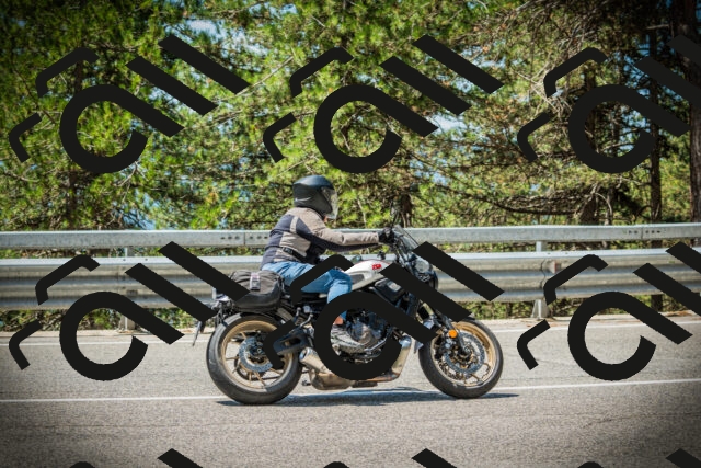 202507191201-DSC03960_c1_