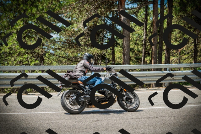 202507191201-DSC03962_c1_