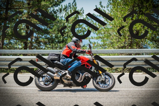 202507191201-DSC03963_c1_