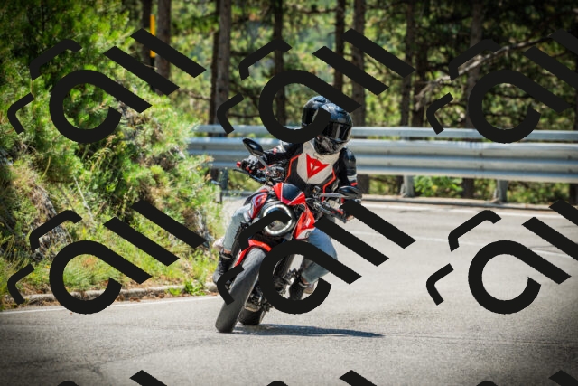 202507191202-DSC03967_c1_