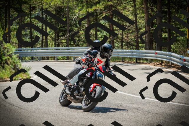 202507191202-DSC03968_c1_