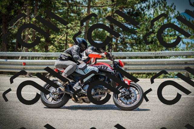 202507191202-DSC03969_c1_