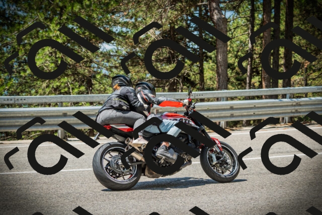 202507191202-DSC03970_c1_