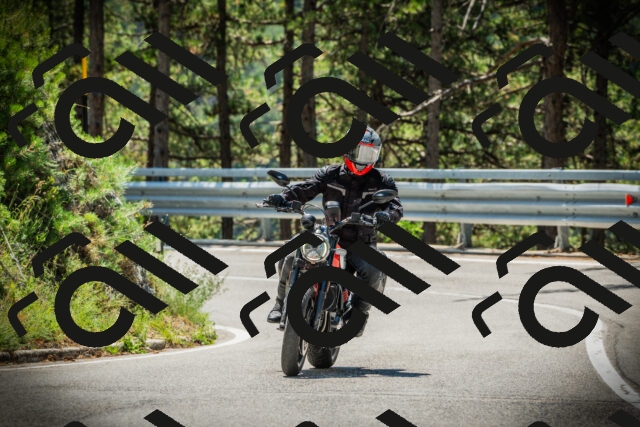 202507191202-DSC03974_c1_