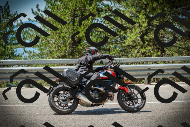 202507191202-DSC03977_c1_