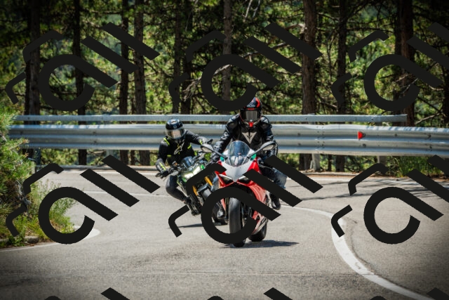 202507191202-DSC03979_c1_