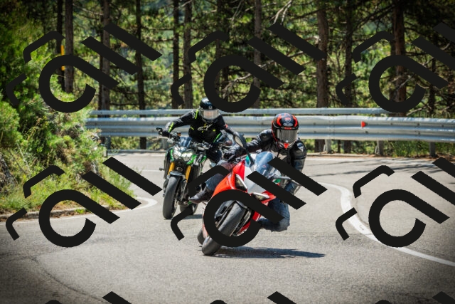 202507191202-DSC03980_c1_