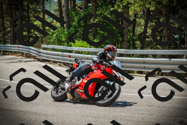 202507191202-DSC03981_c1_