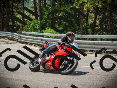 202507191202-DSC03981_c1_