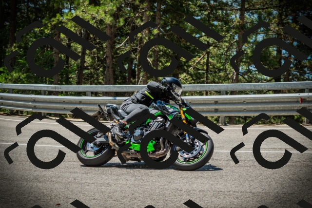 202507191202-DSC03982_c1_