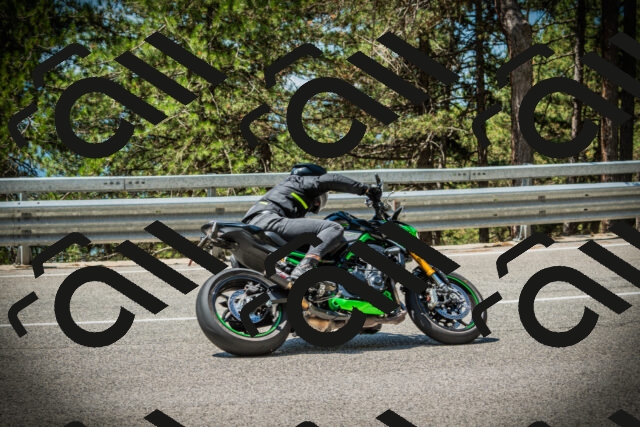 202507191202-DSC03983_c1_