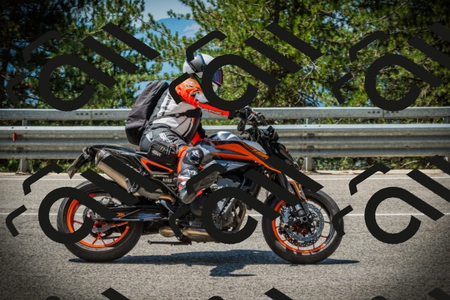 202507191202-DSC03986_c1_