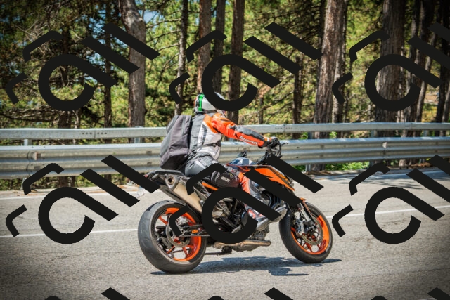 202507191202-DSC03987_c1_