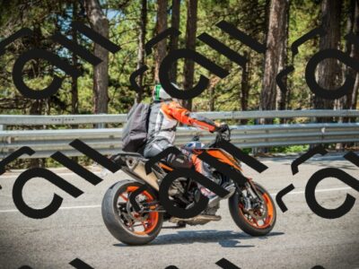 202507191202-DSC03987_c1_