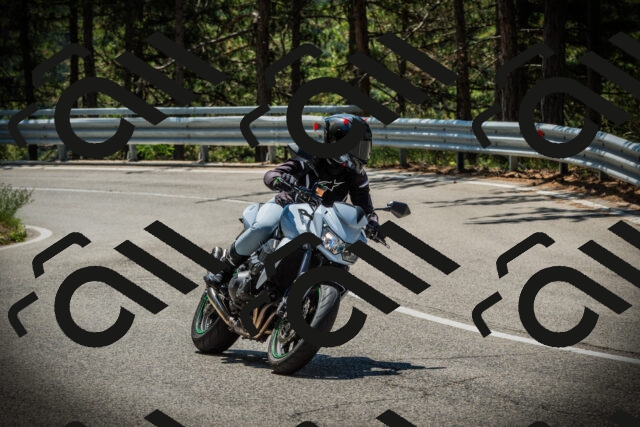 202507191202-DSC03988_c1_