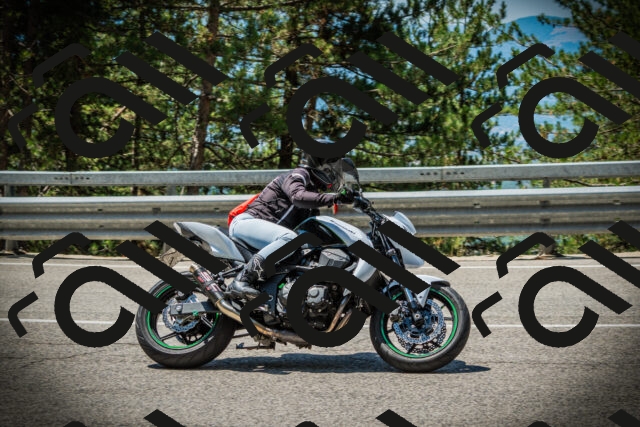 202507191203-DSC03989_c1_