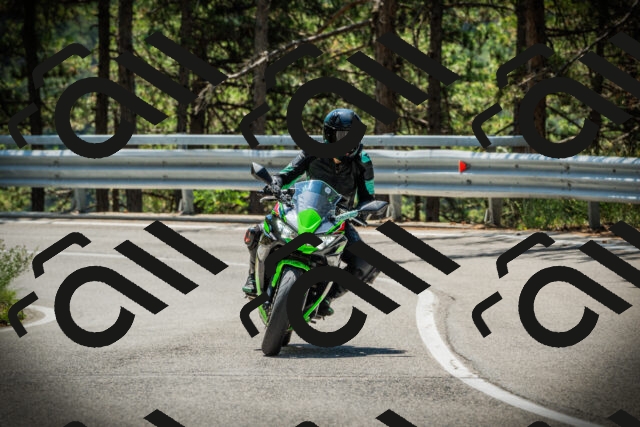 202507191203-DSC03993_c1_