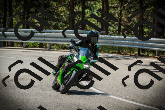 202507191203-DSC03994_c1_