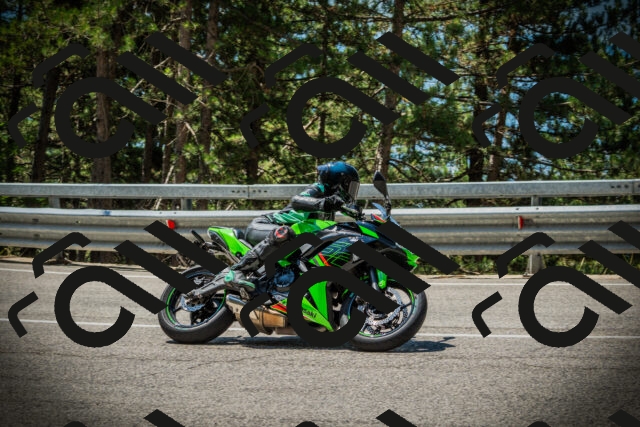 202507191203-DSC03995_c1_