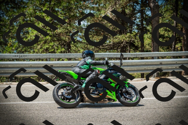 202507191203-DSC03996_c1_