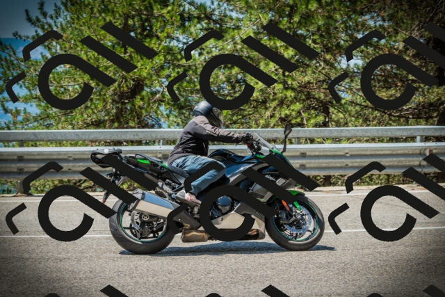 202507191206-DSC04002_c1_