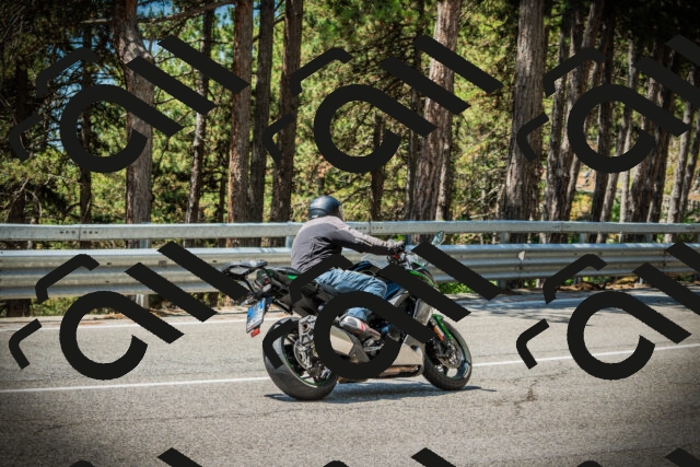 202507191206-DSC04003_c1_