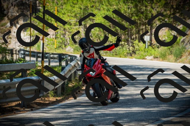 202507191206-DSC04004_c1_