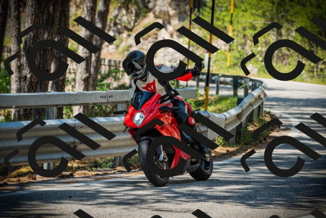 202507191206-DSC04005_c1_