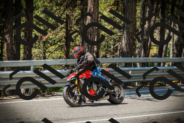 202507191206-DSC04010_c1_