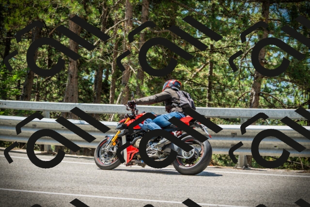 202507191206-DSC04012_c1_