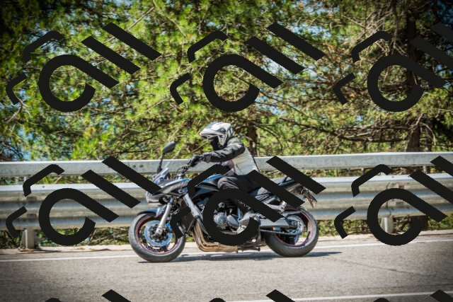 202507191207-DSC04017_c1_