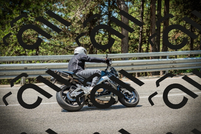 202507191209-DSC04035_c1_