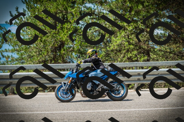 202507191209-DSC04038_c1_