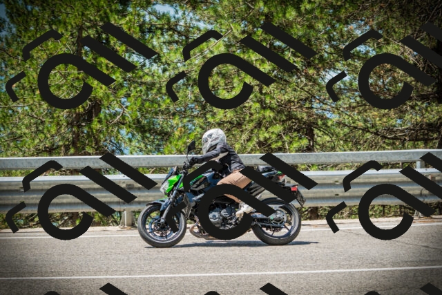 202507191209-DSC04039_c1_