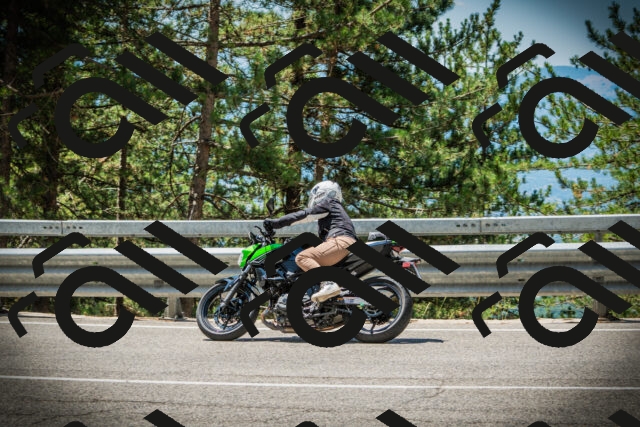 202507191209-DSC04040_c1_