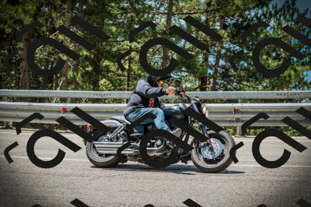 202507191209-DSC04043_c1_